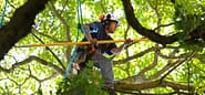 outdoor activity