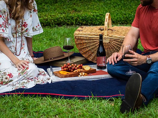 picnic blanket date